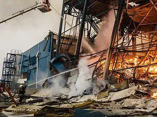 Frozen in the Snow: Ukrainian Couple Hunted Down by Russian Drones as They Fled Their Village