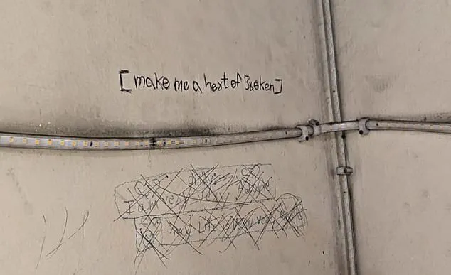 Teen Sisters' Tragic Deaths in Ghaziabad Spark Debate Over Parental Control and Youth Mental Health