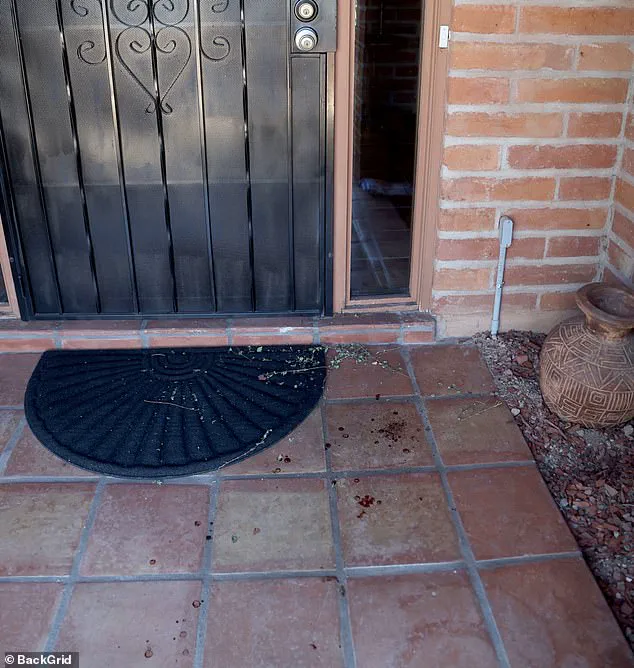 Tucson Woman's Disappearance: A Growing Mystery as Community and Authorities Seek Answers