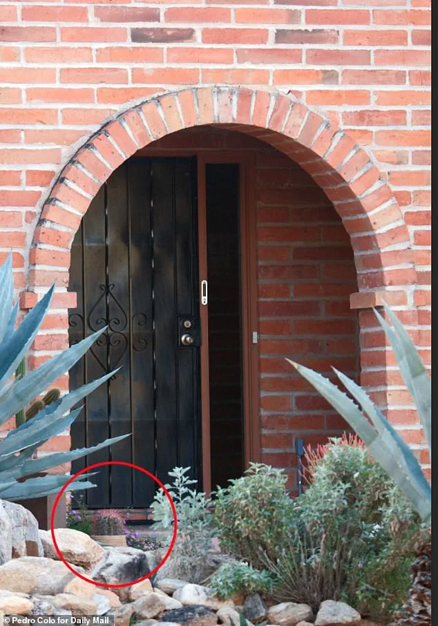 FBI Shares Chilling Surveillance Footage in Search for Missing Nancy Guthrie