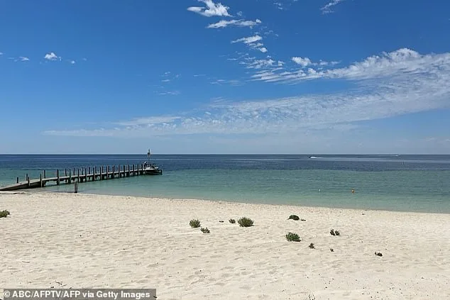 13-Year-Old's 6km Swim and Triple-Zero Call Save Family Stranded 14km Offshore