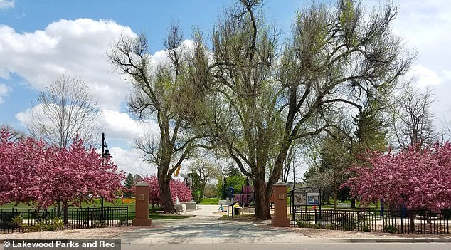 Lakewood's Aviation Park: From Suburban Haven to Homelessness Crisis as Residents Decry Deteriorating Quality of Life