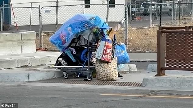 Lakewood's Aviation Park: From Suburban Haven to Homelessness Crisis as Residents Decry Deteriorating Quality of Life