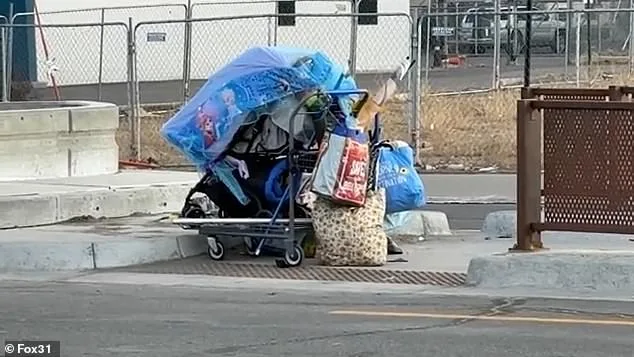 Lakewood's Aviation Park: From Suburban Haven to Homelessness Crisis as Residents Decry Deteriorating Quality of Life