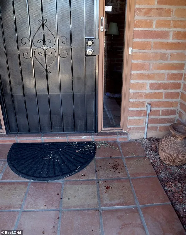 Nancy Guthrie's Disappearance: New Footage Reveals Masked Figure, Intensifying Search