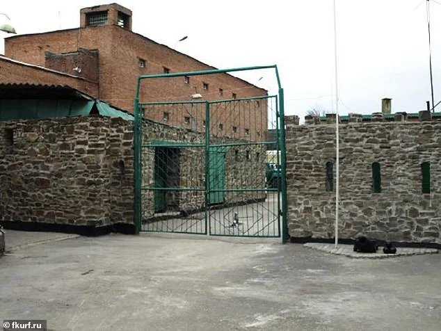 Allegations of Human Rights Violations by Russian Forces in Ukraine Under Scrutiny