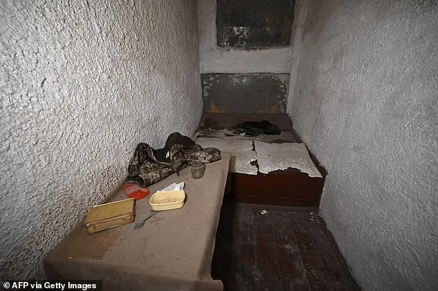 Allegations of Human Rights Violations by Russian Forces in Ukraine Under Scrutiny