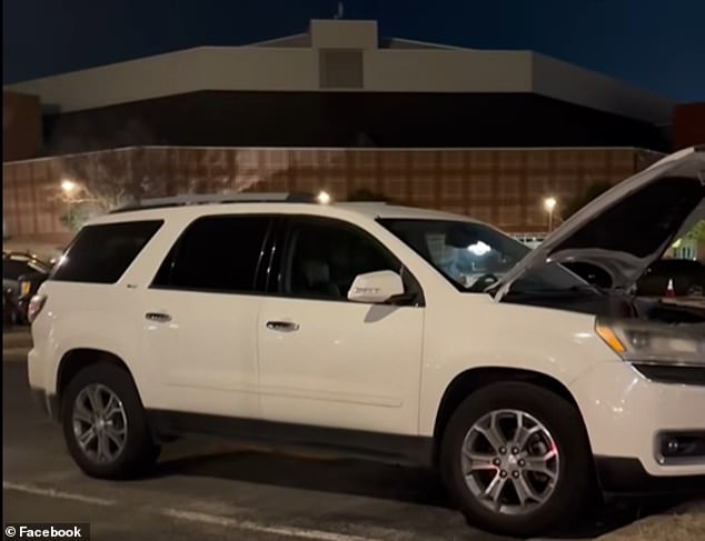 Groundhog's Gnawing Leads to $4,000 Repair Bill for University of Arkansas Student's Truck