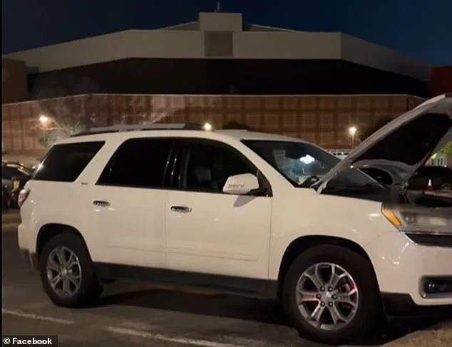 Groundhog's Gnawing Leads to $4,000 Repair Bill for University of Arkansas Student's Truck