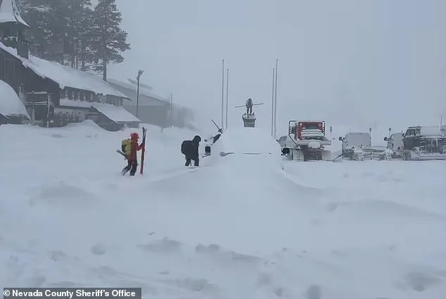 Avalanche at Castle Peak Claims Nine Lives, Including Parents of Sugar Bowl Academy Students