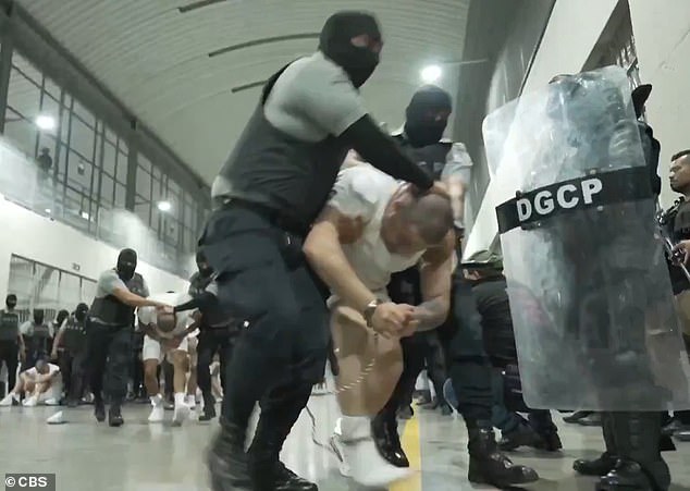 Bari Weiss Withdraws from UCLA Lecture Amid Security Concerns and Petition Over Trump Ties