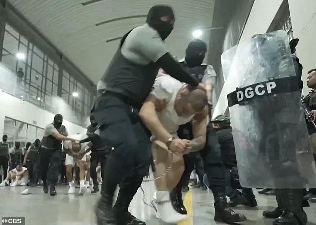 Bari Weiss Withdraws from UCLA Lecture Amid Security Concerns and Petition Over Trump Ties