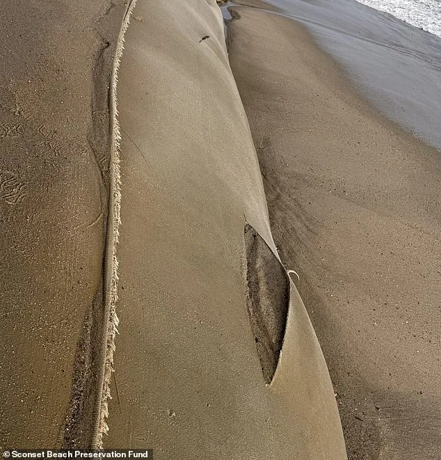 Wealthy Nantucket Battles Erosion and Vandalism as Geotubes Are Targeted in $10K Reward Hunt