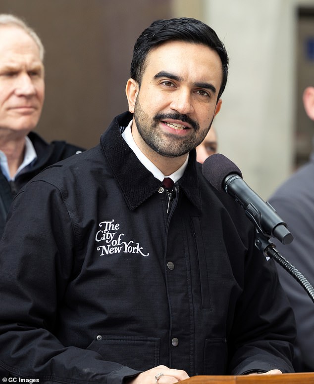 Controversy Over NYC's Snow Shoveler ID Requirement Sparks Hypocrisy Debate Amid DSA Ties