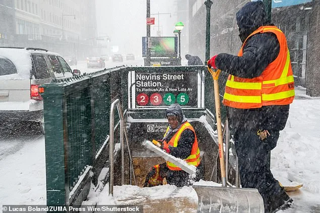 Controversy Over NYC's Snow Shoveler ID Requirement Sparks Hypocrisy Debate Amid DSA Ties