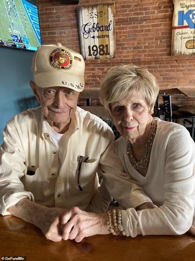 Elaine Dorland, 86, Still Cleaning: A Life of Resilience Amidst Personal Tragedy