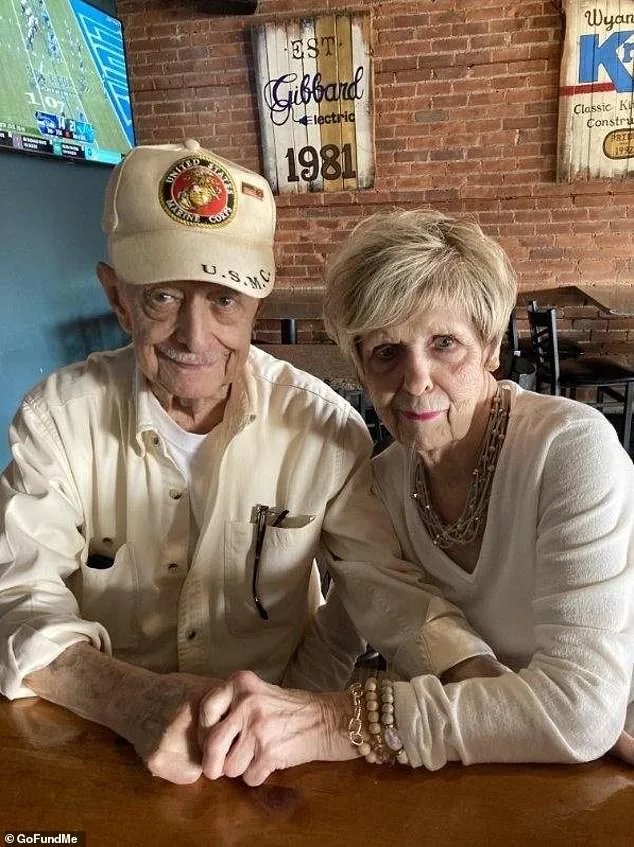 Elaine Dorland, 86, Still Cleaning: A Life of Resilience Amidst Personal Tragedy