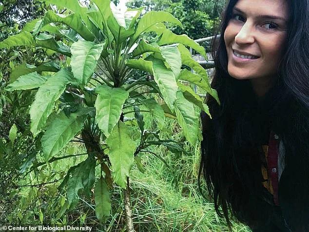 Residents Sue Honolulu Planning Dept. Over Hotel's Environmental and Cultural Impact