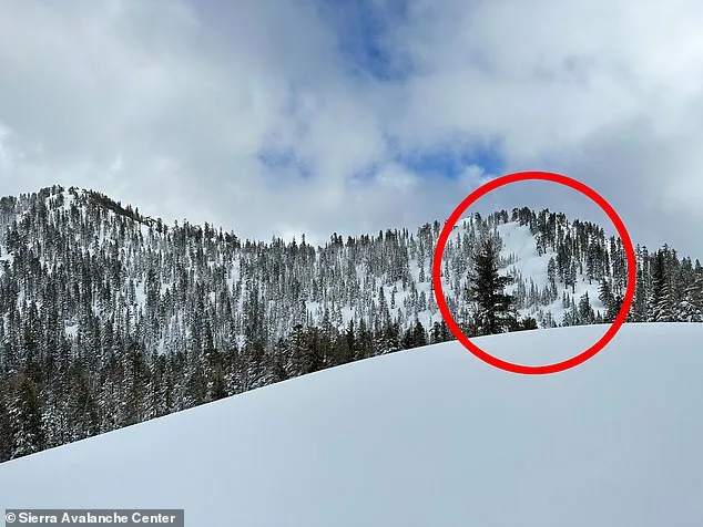 Tragic Avalanche at Castle Peak Claims Nine Lives, New Images Reveal Scale of Disaster