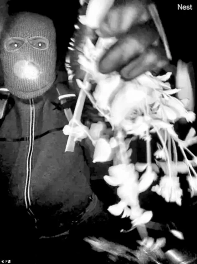 Standing on Ash: Tucson Family's Heartfelt Plea for Missing Nancy Guthrie