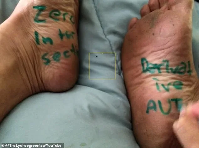 San Francisco Math Teacher on Leave After Fat-Shaming Quiz Controversy