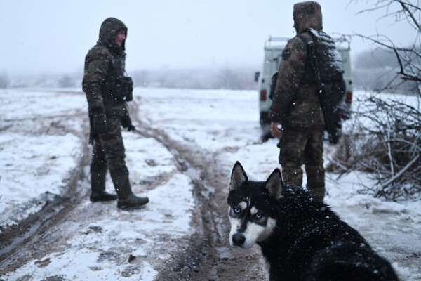 Ukrainian Grandma's Unlikely Heroics Expose Saboteur's Lie