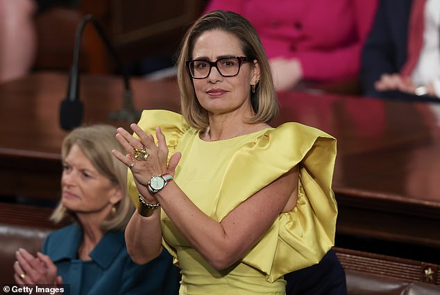 Krysten Sinema Scandal Unveiled Through Court Filings as Affair Allegations Surface