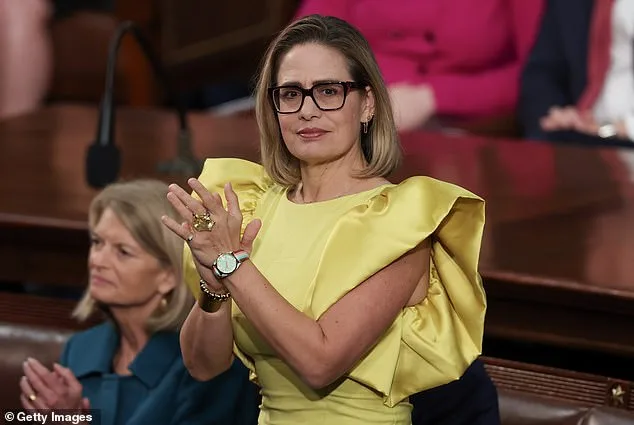 Krysten Sinema Scandal Unveiled Through Court Filings as Affair Allegations Surface