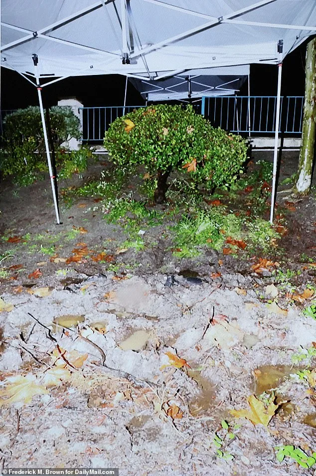 Blaze Bernstein's Murder Exposes Hidden Extremism in Affluent Orange County