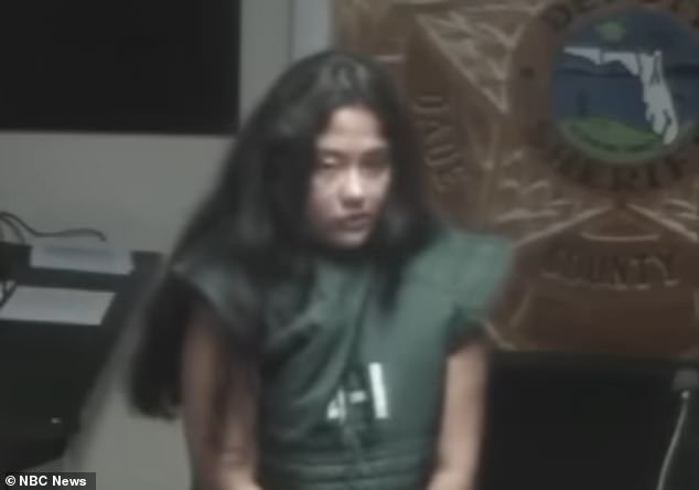 Mentally Ill Mother Avoids Jail After Hitman Plot, Sparks Legal Debate