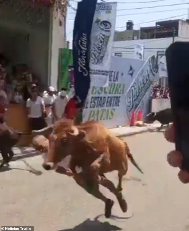 Miraculous Survival at San José Fair as Man Evades Charging Bull in Peru
