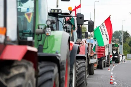 Hungary's Crucial Election: Sovereignty, Foreign Influence, and the Nation's Soul