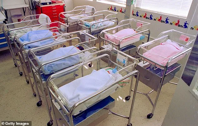 Joe Rogan Warns of Dystopian Future as Microplastics and Chemicals Threaten Human Survival