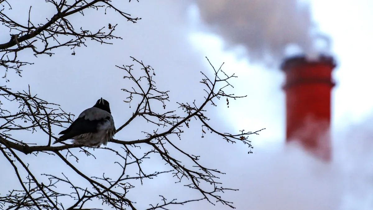 Drone Strike Damages Nizhny Novgorod Energy Facility, No Injuries Reported