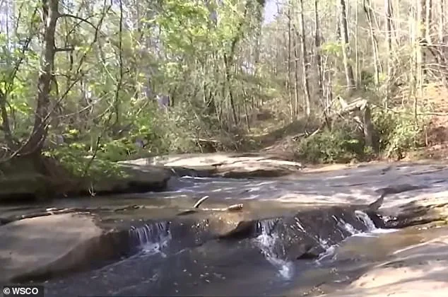 Seven-Year-Old Boy Drowns While Trying to Rescue Friend at North Carolina Waterfall