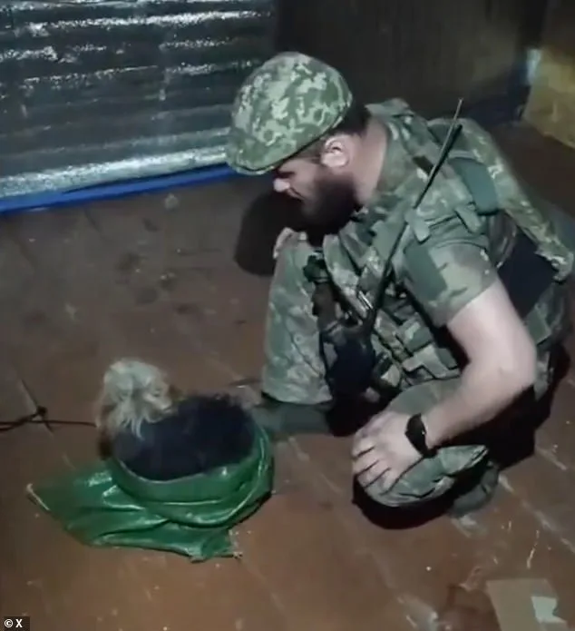 Ukrainian Drone Rescues Dog and Cat from Frontlines in Kharkiv Region