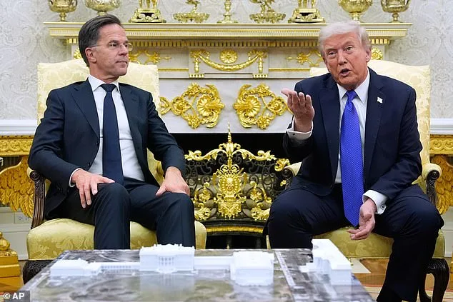 NATO Chief's Awkward Moment: Questioning Trump's Commitment and the 'Daddy' Nickname