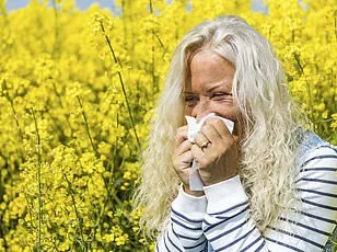Hay Fever Meds: Weight Gain Warning