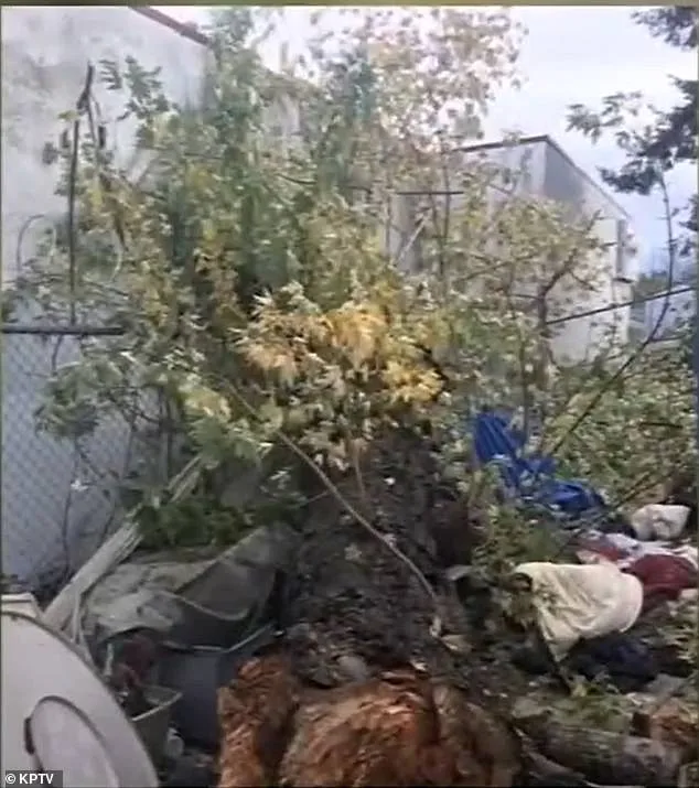 Mother Receives Settlement After Son Dies During High School Tree Planting