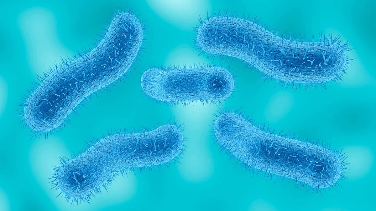 Superbug" Shigella Resists All Antibiotics