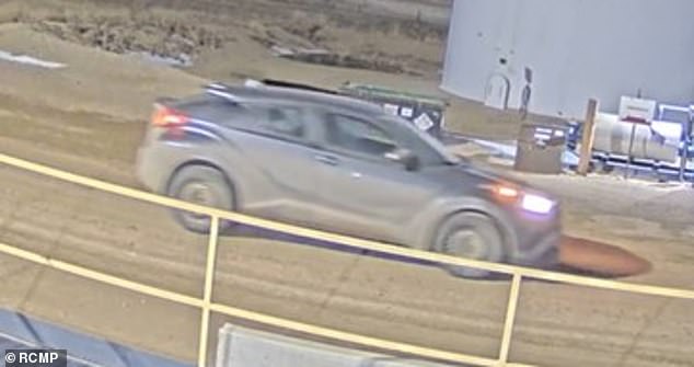 82-Year-Old Woman Found Dead After Vanishing With Dog in Canada