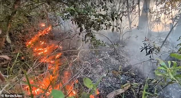 Amtrak passengers stranded for 24 hours after Florida brush fire blocks tracks.