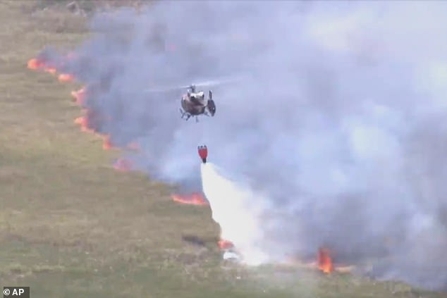 Toxic Air Quality Alerts Issued for Millions in Georgia and South Carolina