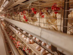 FDA issues warning letter to Par Health USA over sterile drug violations.