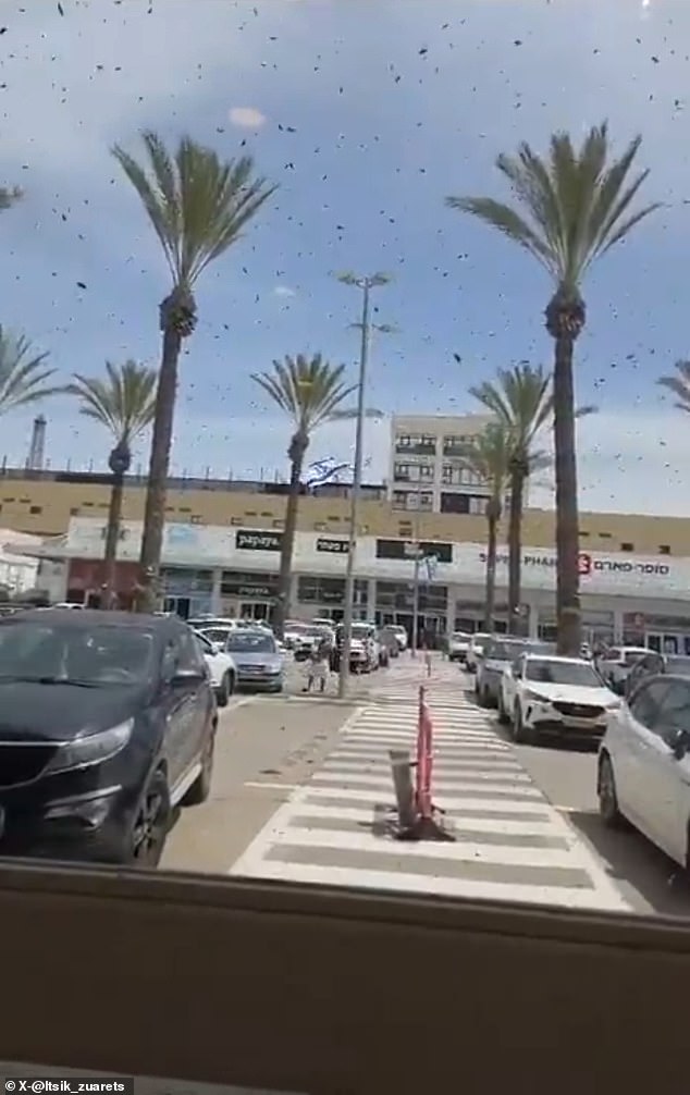 Israel residents panic as massive bee swarms link to biblical prophecy.