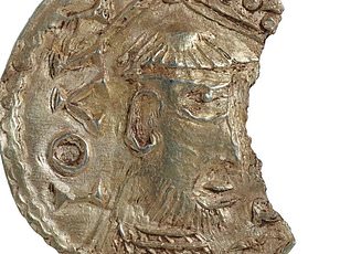 Israel residents panic as massive bee swarms link to biblical prophecy.