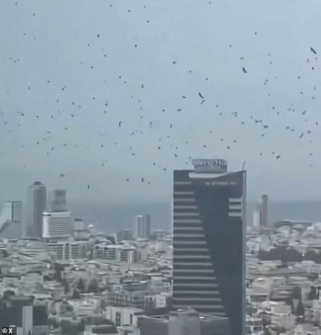 Israel residents panic as massive bee swarms link to biblical prophecy.