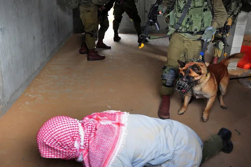 Hundreds of detained pro-Palestinian activists officially deported after viral taunting video.