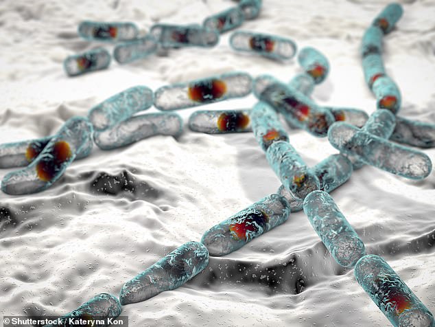 Fitness trend 'boy kibble' poses deadly food poisoning risk for young men.