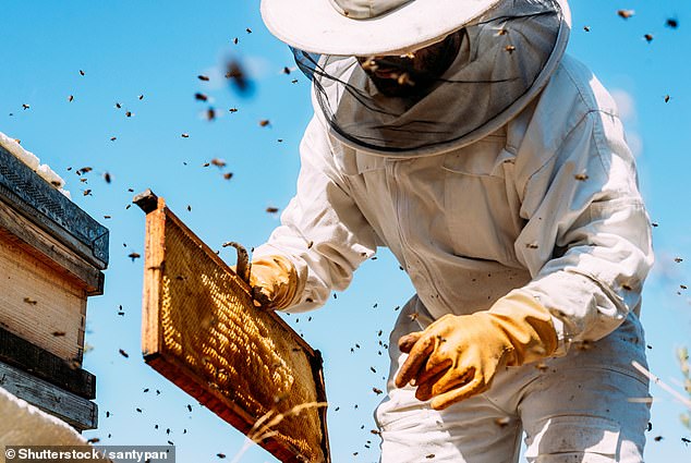 Premium Honey Risks Becoming Just Expensive Sugar Without Careful Use